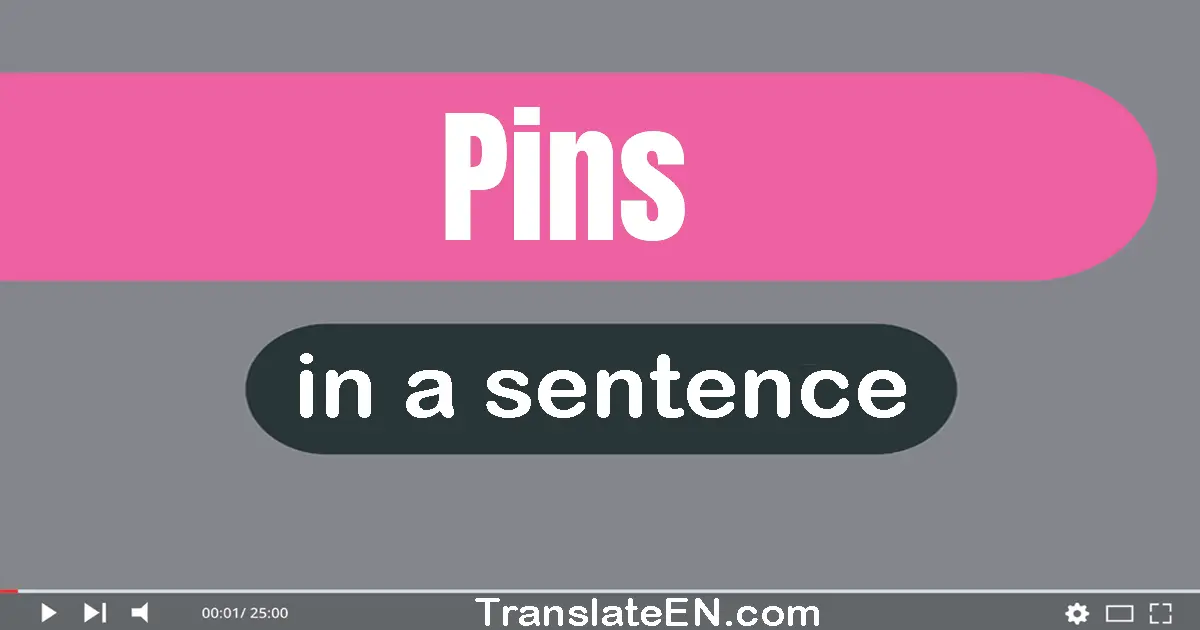 Use "pins" in a sentence | "pins" sentence examples