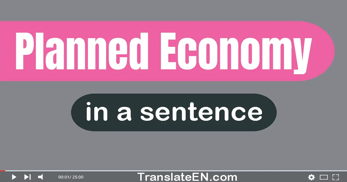Use "planned economy" in a sentence | "planned economy" sentence examples