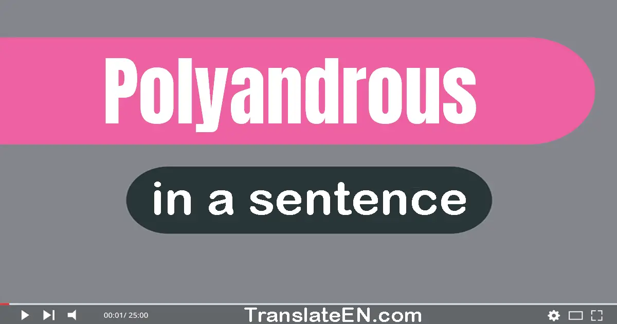 Use "polyandrous" in a sentence | "polyandrous" sentence examples