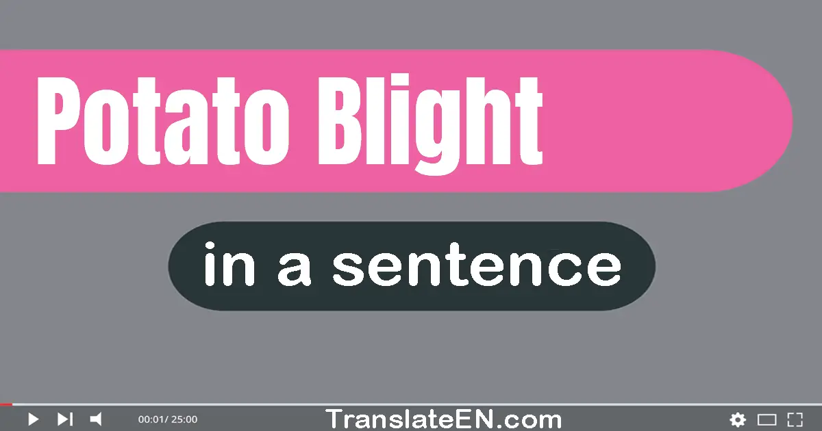 Use "potato blight" in a sentence | "potato blight" sentence examples