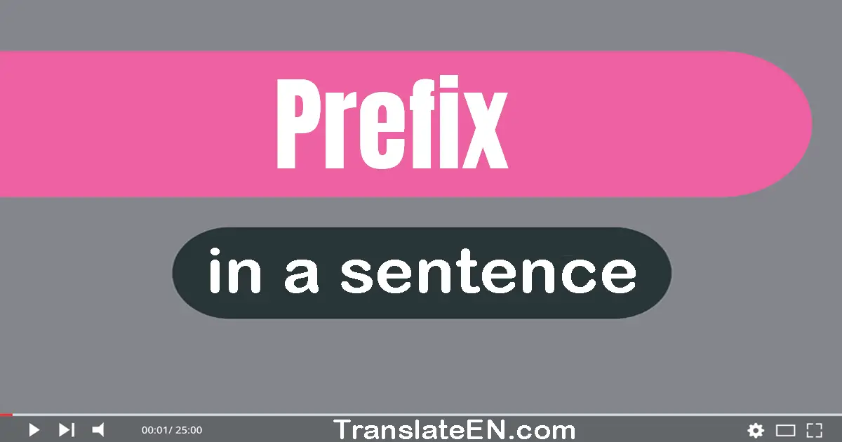 Use "prefix" in a sentence | "prefix" sentence examples