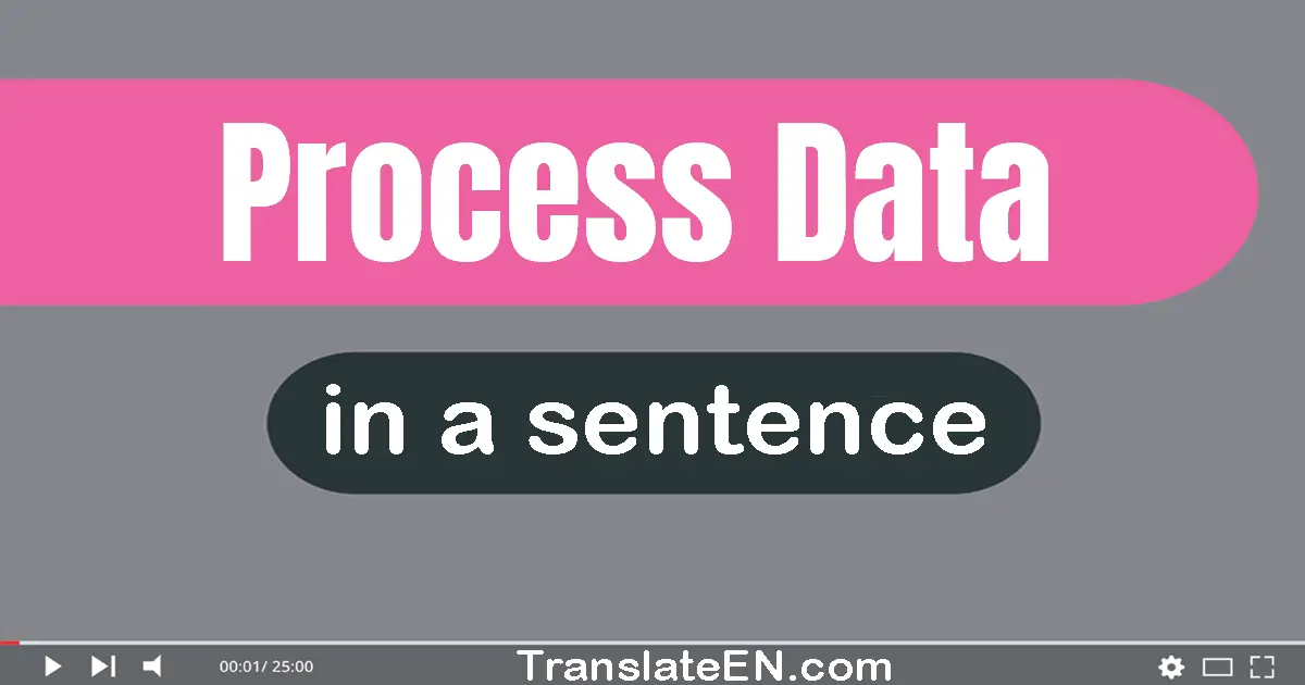 Use "process data" in a sentence | "process data" sentence examples