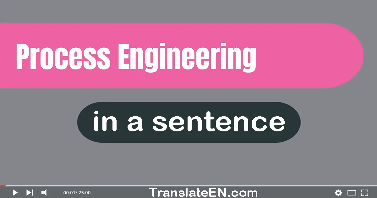 Use "process engineering" in a sentence | "process engineering" sentence examples