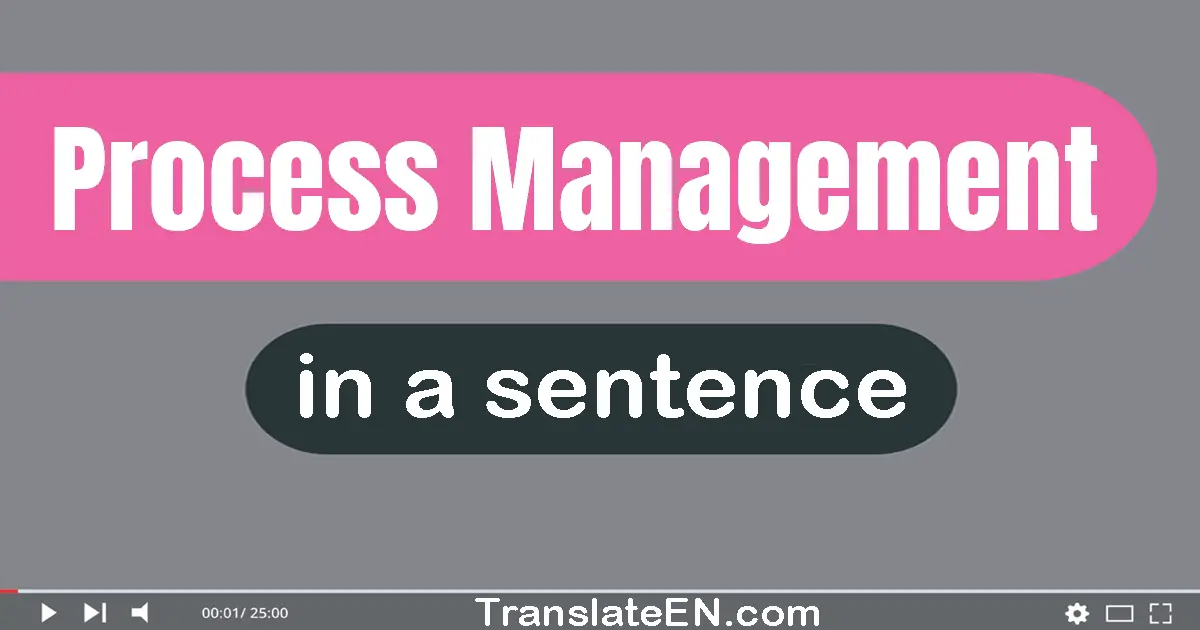 Use "process management" in a sentence | "process management" sentence examples
