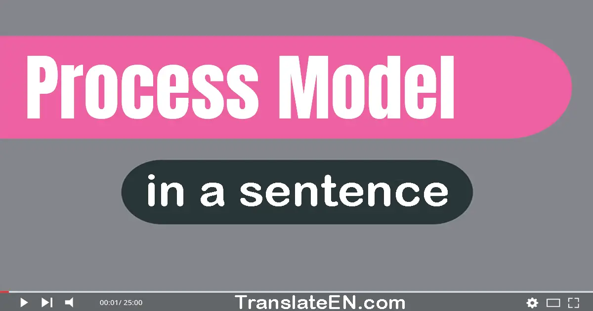 Use "process model" in a sentence | "process model" sentence examples