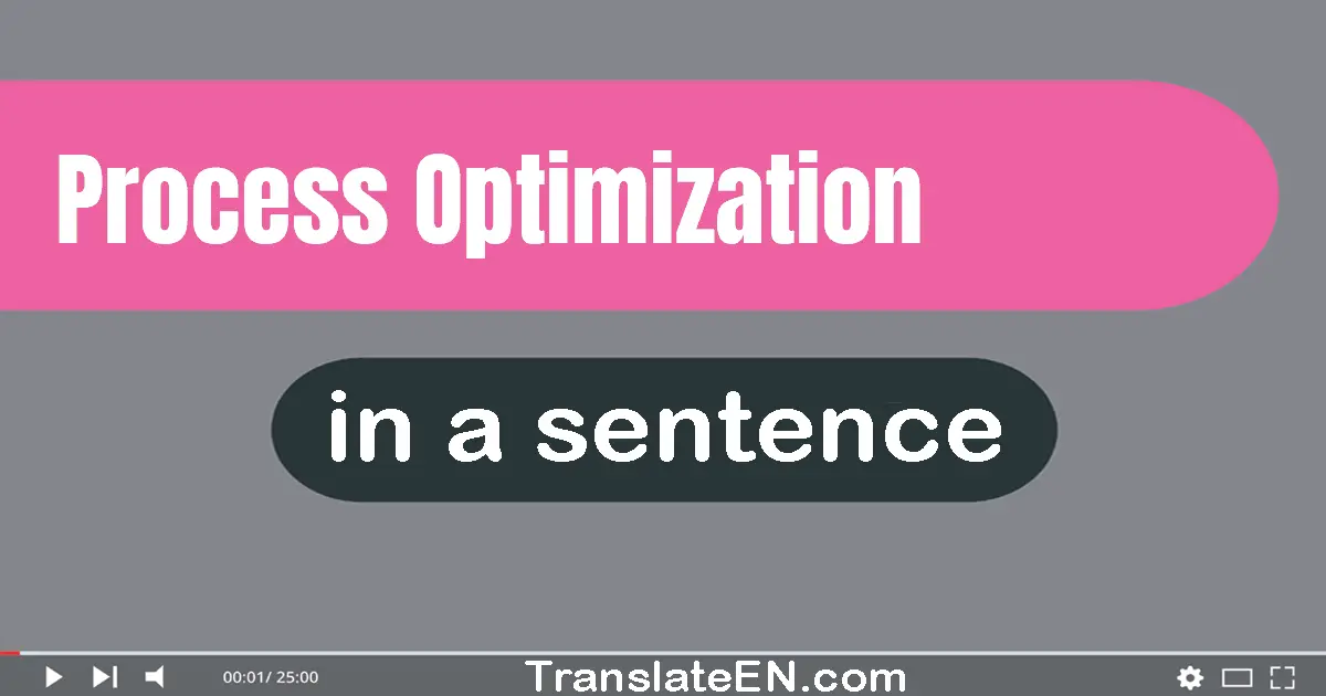 Use "process optimization" in a sentence | "process optimization" sentence examples
