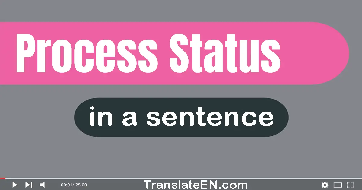 Use "process status" in a sentence | "process status" sentence examples