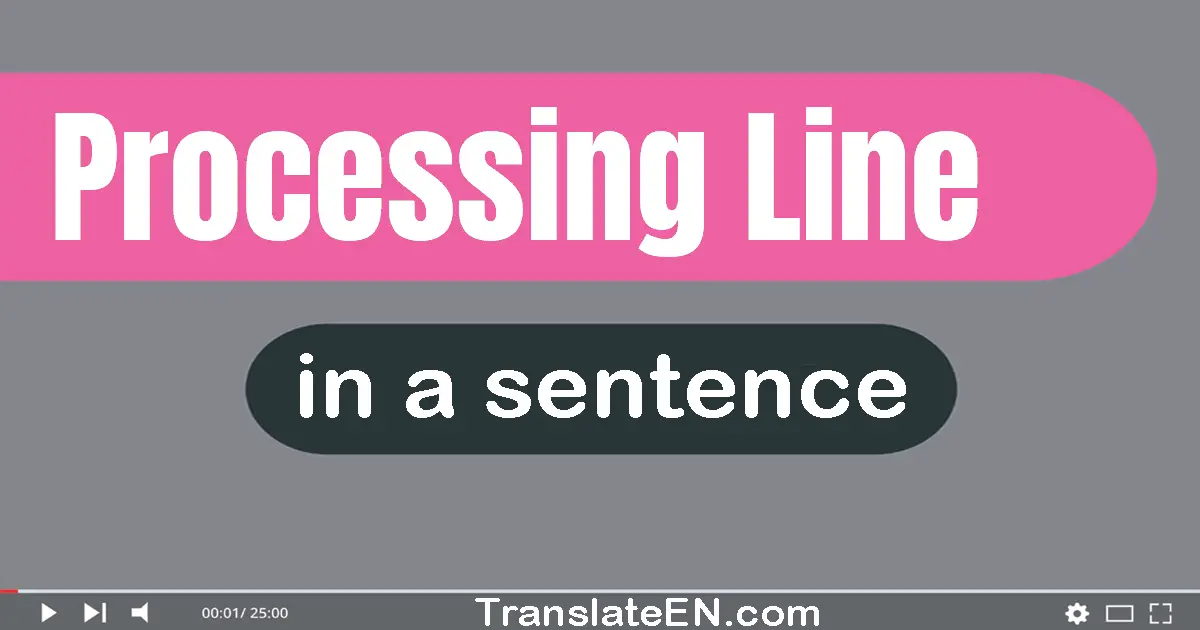 Use "processing line" in a sentence | "processing line" sentence examples
