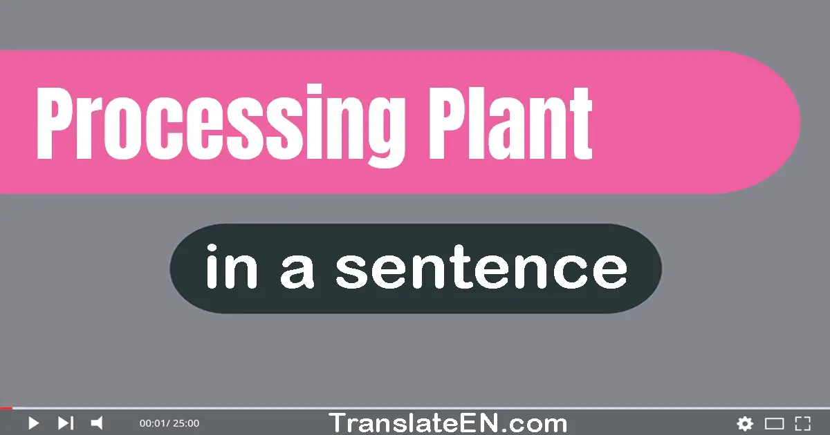 Use "processing plant" in a sentence | "processing plant" sentence examples