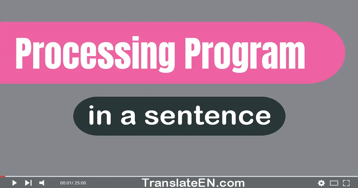 Use "processing program" in a sentence | "processing program" sentence examples