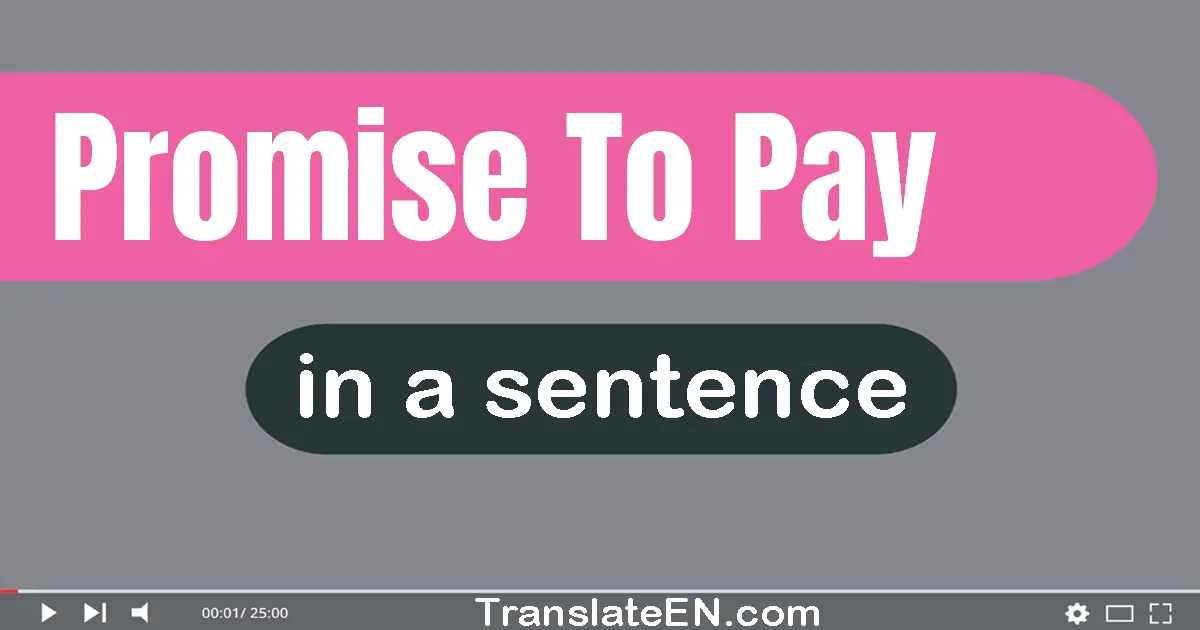 Use "promise to pay" in a sentence | "promise to pay" sentence examples