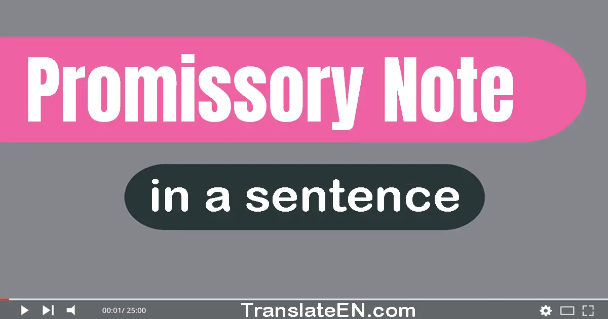 Use "promissory note" in a sentence | "promissory note" sentence examples