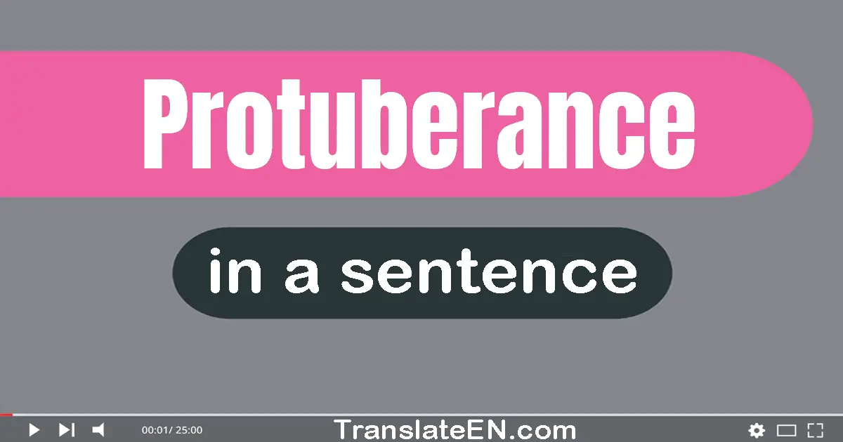 Use "protuberance" in a sentence | "protuberance" sentence examples