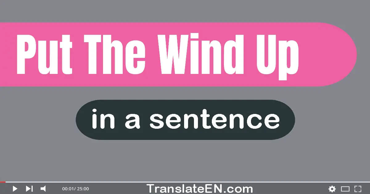 Use "put the wind up" in a sentence | "put the wind up" sentence examples