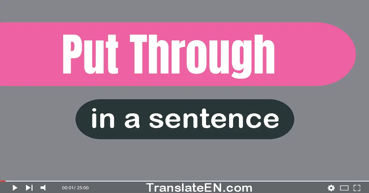 Use "put through" in a sentence | "put through" sentence examples