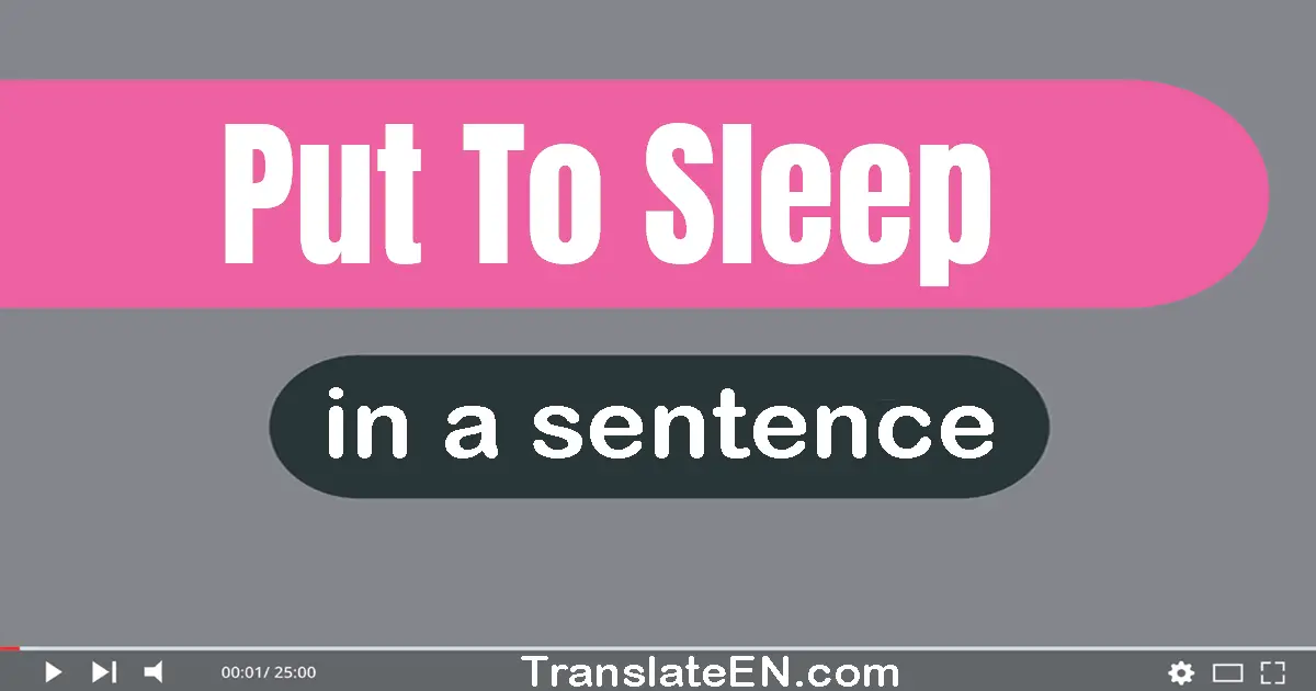 Use "put to sleep" in a sentence | "put to sleep" sentence examples