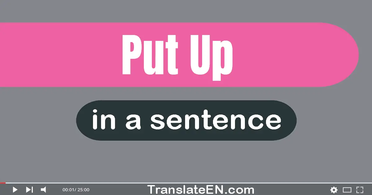 Use "put up" in a sentence | "put up" sentence examples