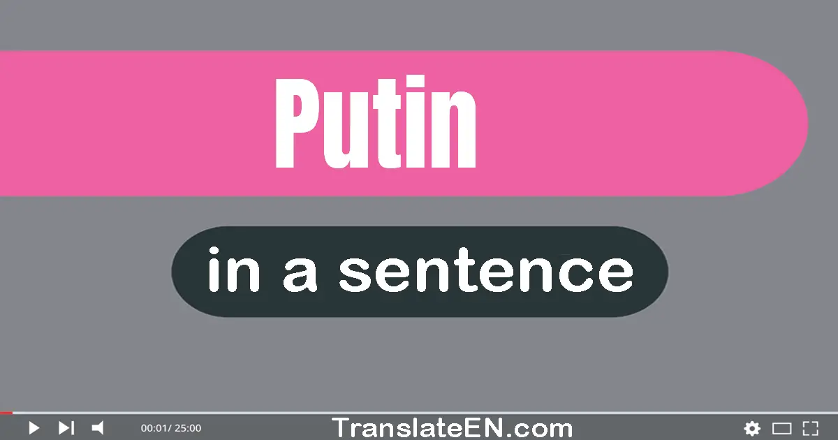 Use "putin" in a sentence | "putin" sentence examples