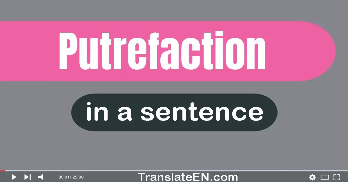 Use "putrefaction" in a sentence | "putrefaction" sentence examples