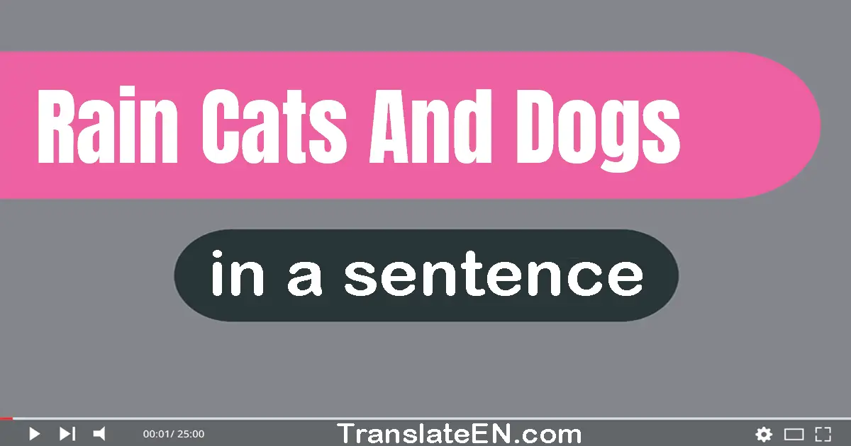 Use "rain cats and dogs" in a sentence | "rain cats and dogs" sentence examples