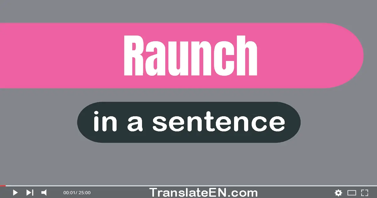 Use "raunch" in a sentence | "raunch" sentence examples