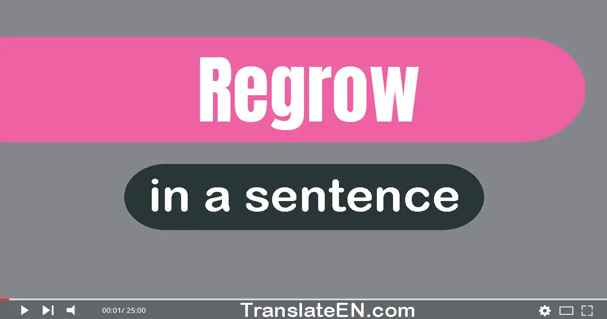 Use "regrow" in a sentence | "regrow" sentence examples