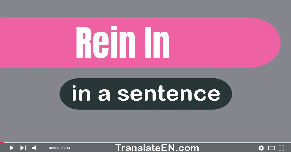 Use "rein in" in a sentence | "rein in" sentence examples
