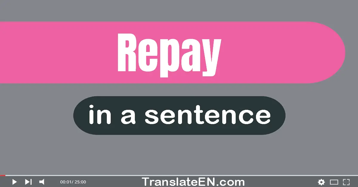 Use "repay" in a sentence | "repay" sentence examples