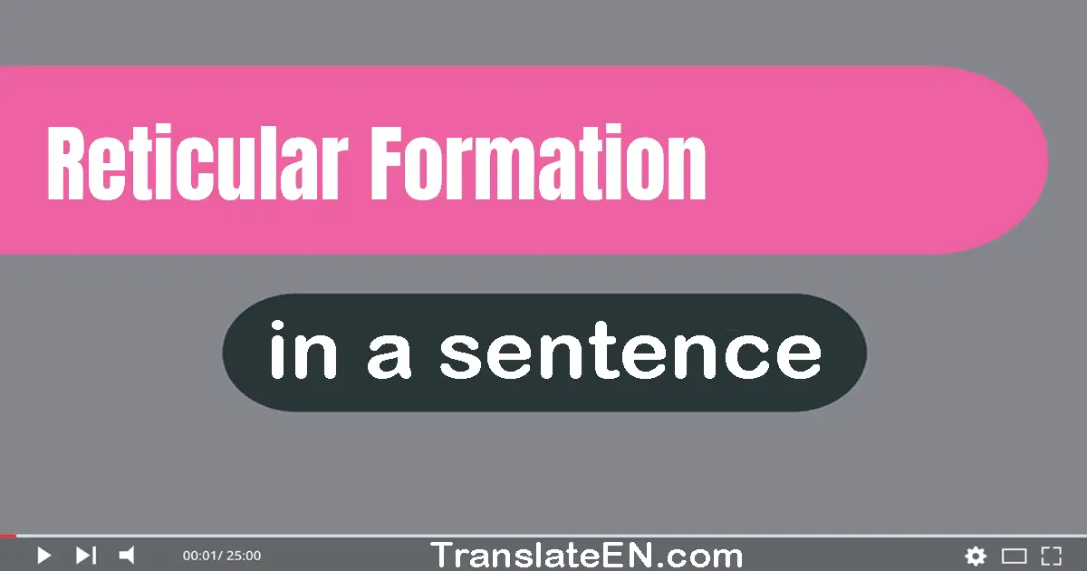 Use "reticular formation" in a sentence | "reticular formation" sentence examples