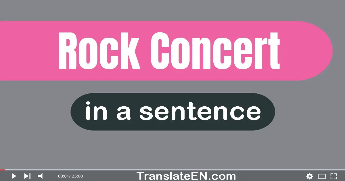 Use "rock concert" in a sentence | "rock concert" sentence examples