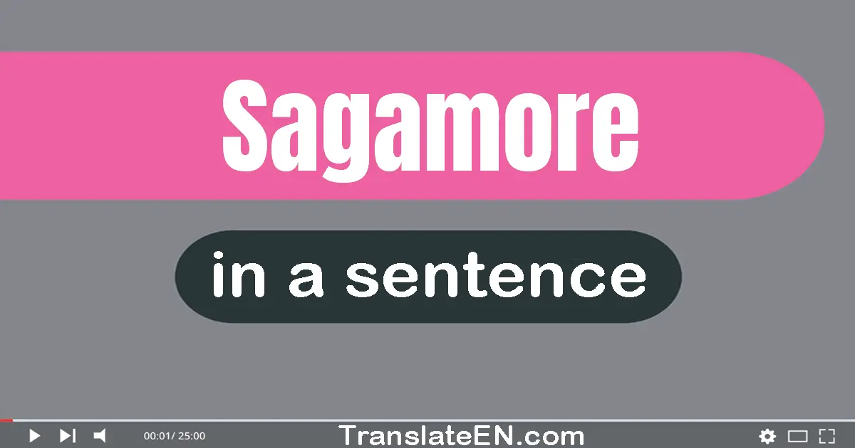 Use "sagamore" in a sentence | "sagamore" sentence examples