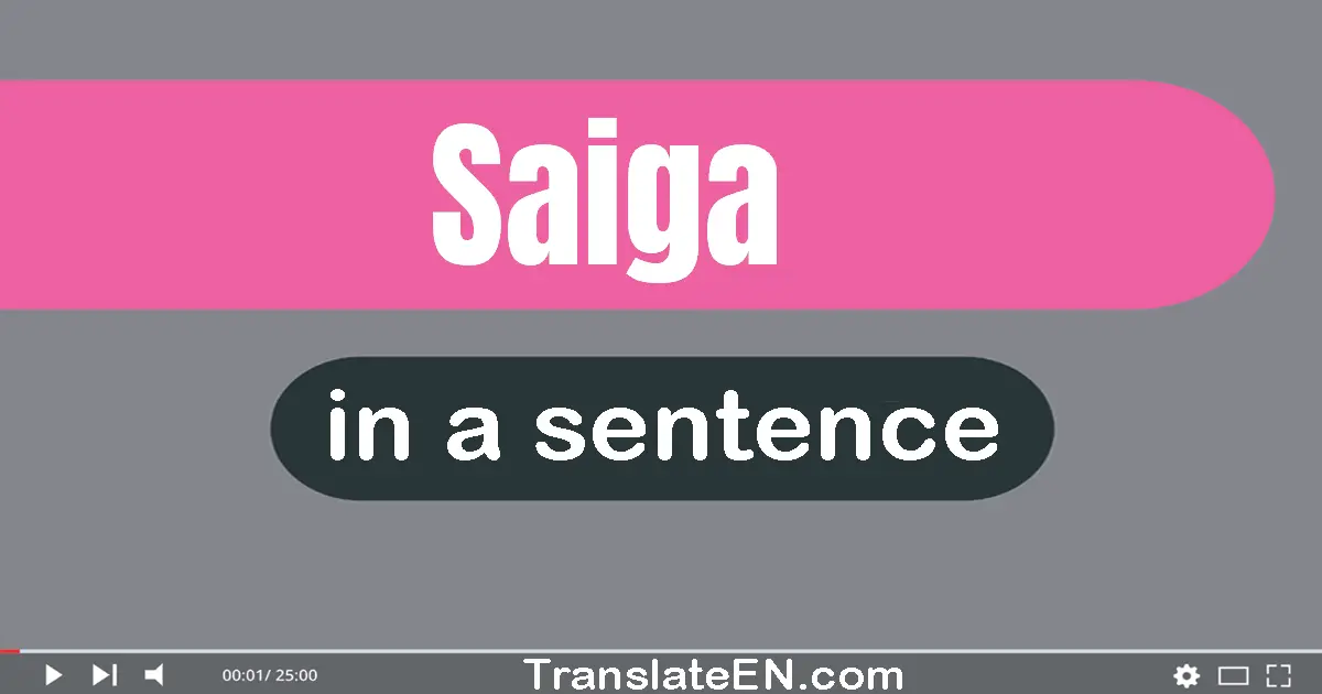 Use "saiga" in a sentence | "saiga" sentence examples