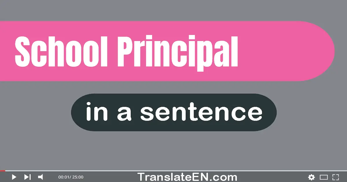 Use "school principal" in a sentence | "school principal" sentence examples