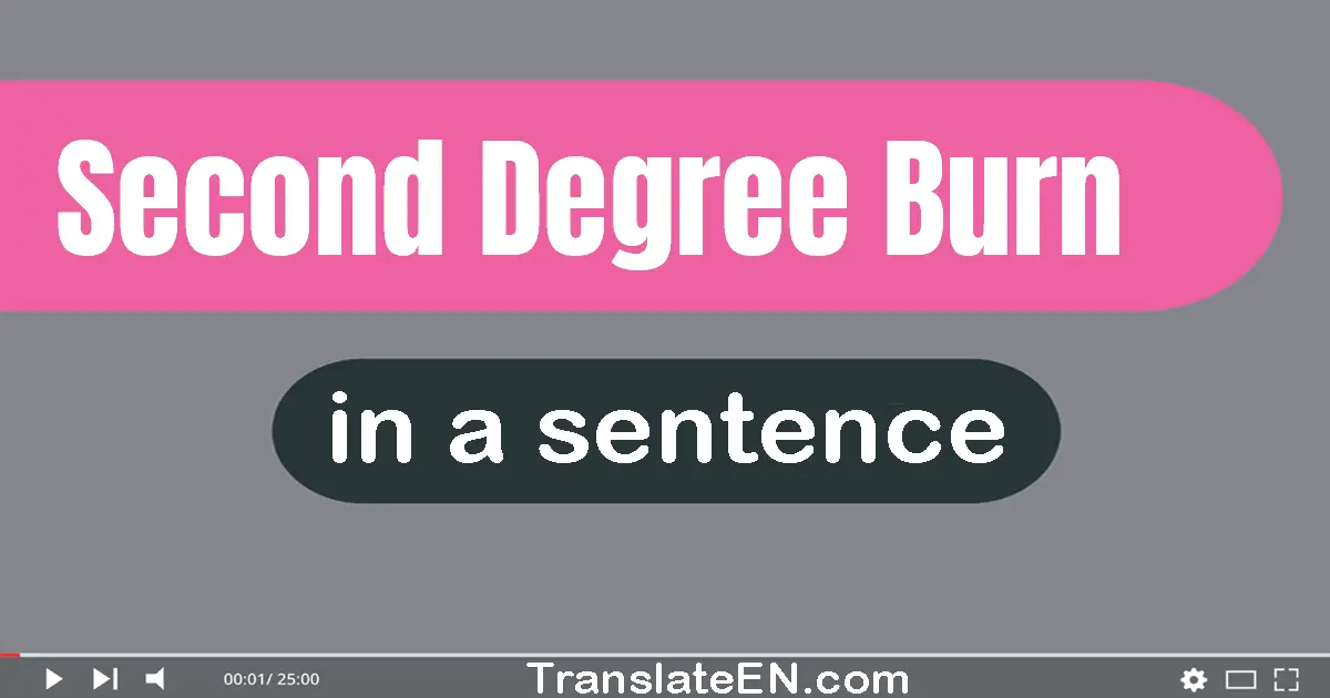 Use "second-degree burn" in a sentence | "second-degree burn" sentence examples