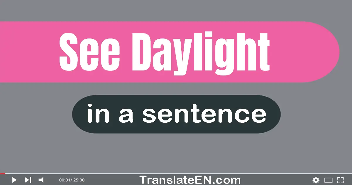 Use "see daylight" in a sentence | "see daylight" sentence examples