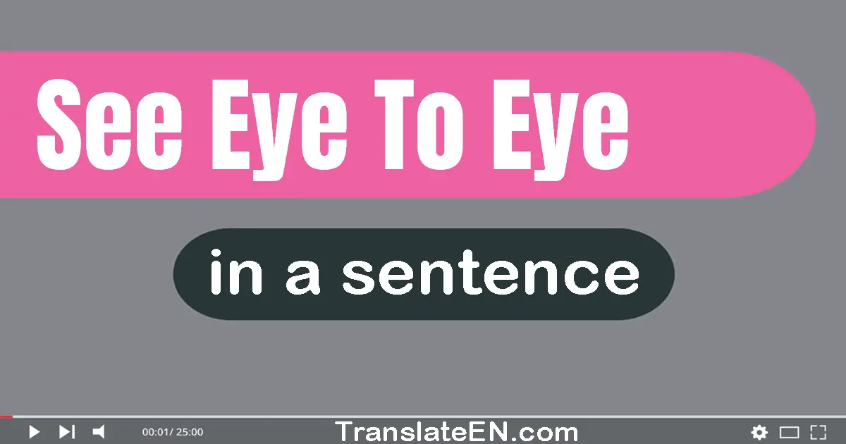 Use "see eye to eye" in a sentence | "see eye to eye" sentence examples