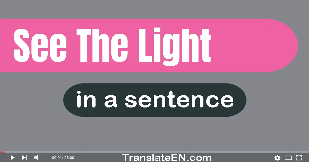 Use "see the light" in a sentence | "see the light" sentence examples