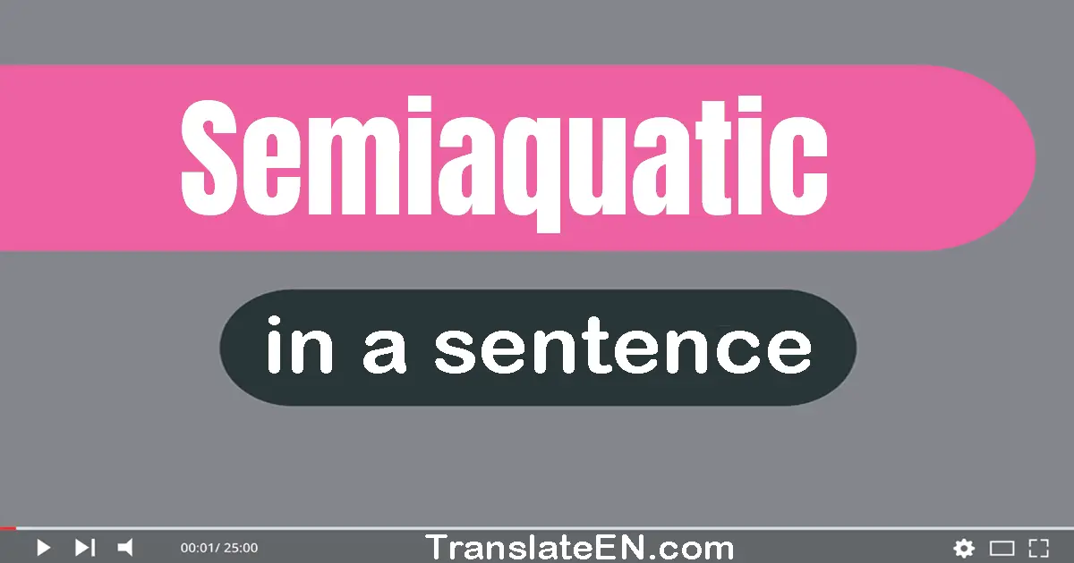 Use "semiaquatic" in a sentence | "semiaquatic" sentence examples