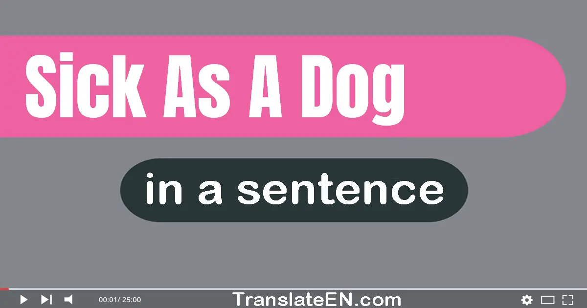 Use "sick as a dog" in a sentence | "sick as a dog" sentence examples