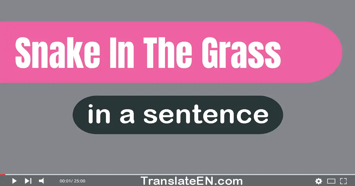 Use "Snake in the grass" in a sentence | "Snake in the grass" sentence examples