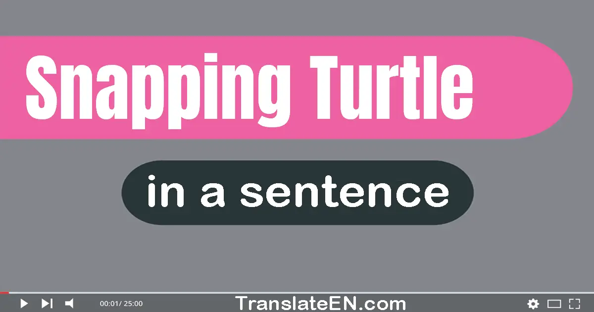 Use "snapping turtle" in a sentence | "snapping turtle" sentence examples