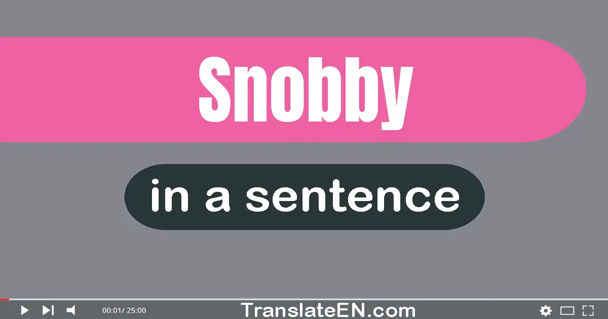 Use "snobby" in a sentence | "snobby" sentence examples