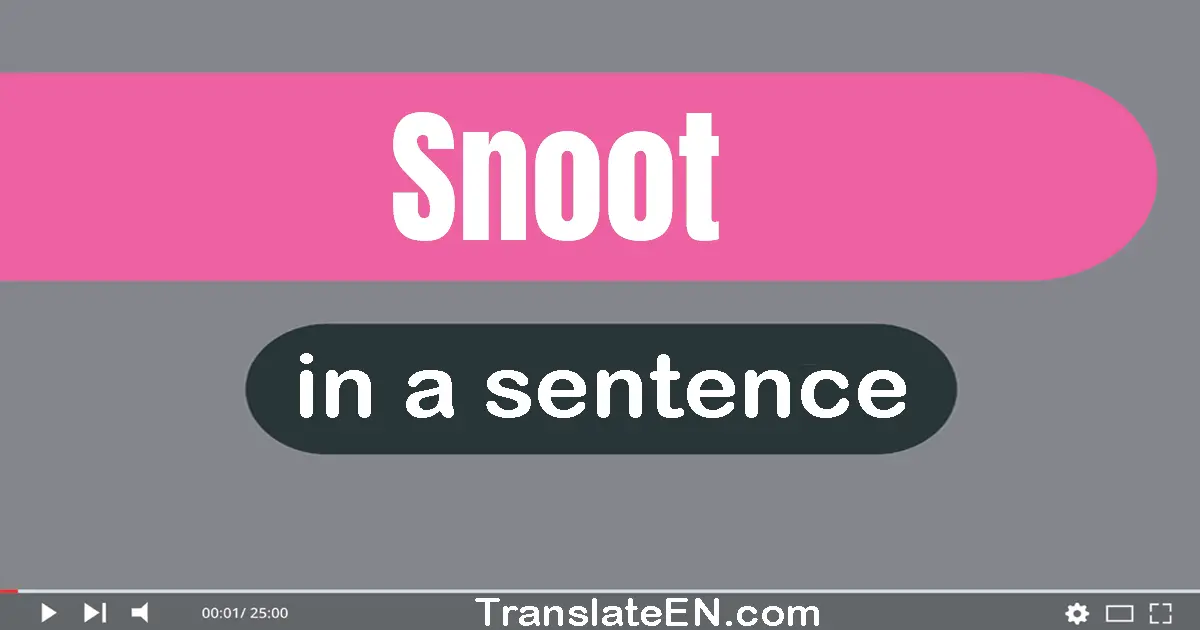 Use "snoot" in a sentence | "snoot" sentence examples