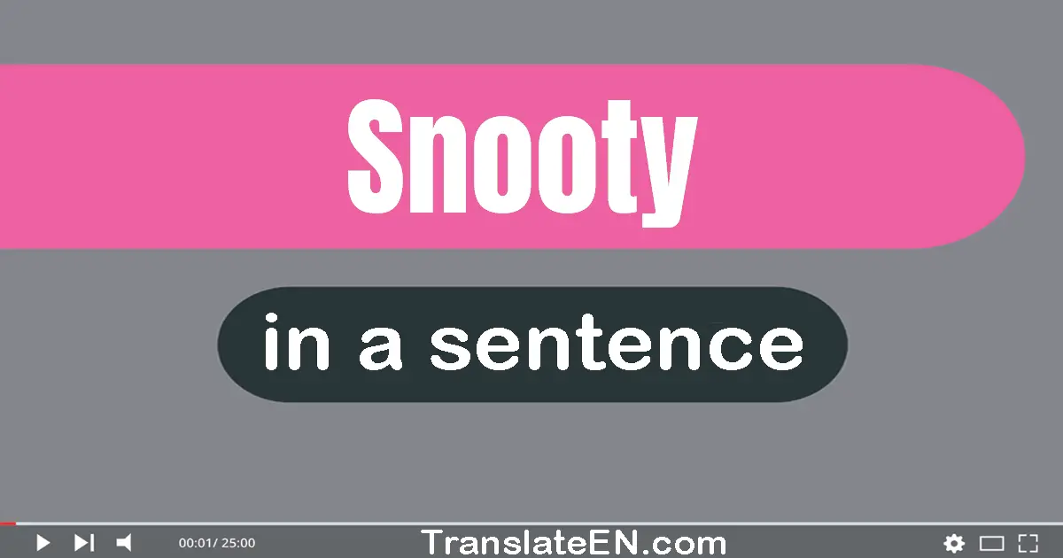 Use "snooty" in a sentence | "snooty" sentence examples