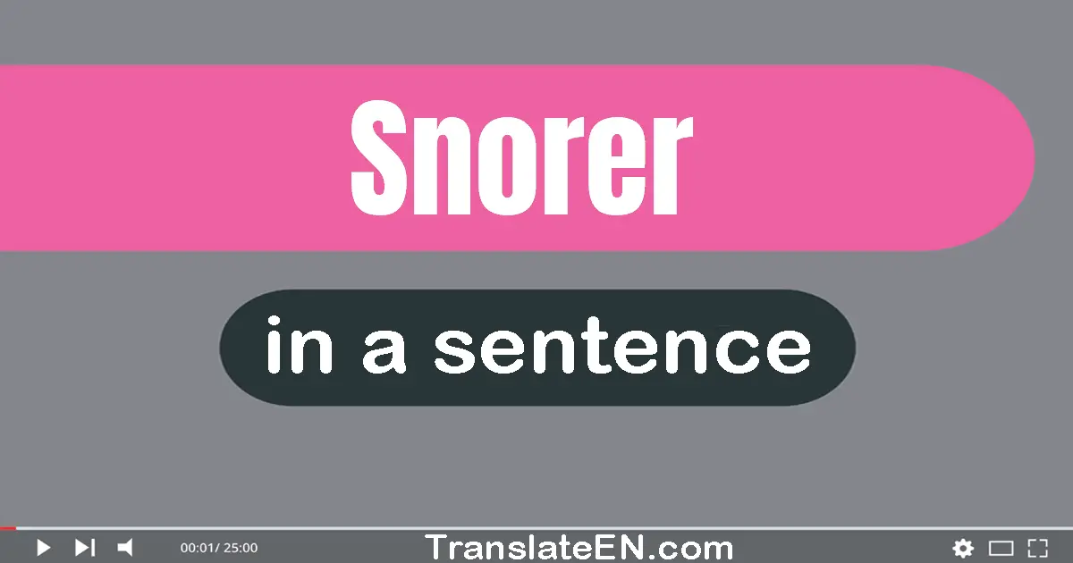 Use "snorer" in a sentence | "snorer" sentence examples