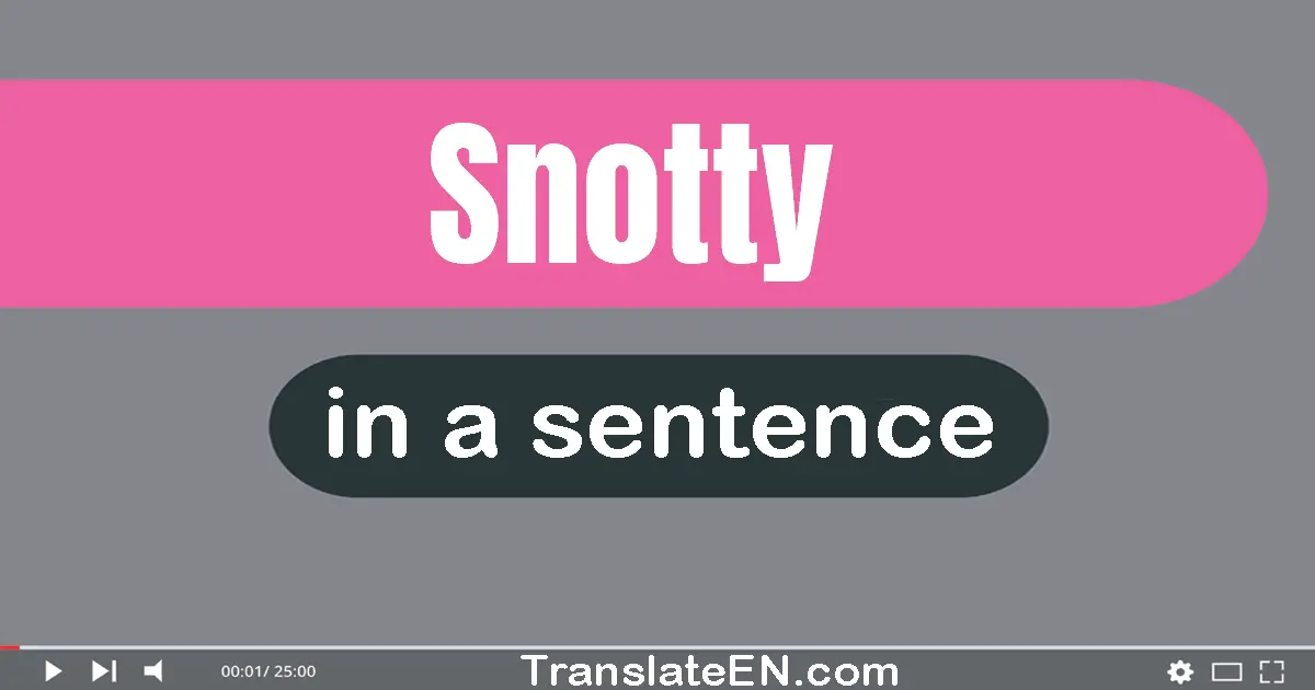 Use "snotty" in a sentence | "snotty" sentence examples