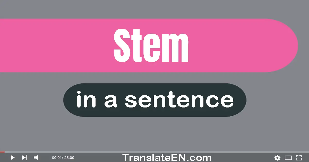 Use "stem" in a sentence | "stem" sentence examples