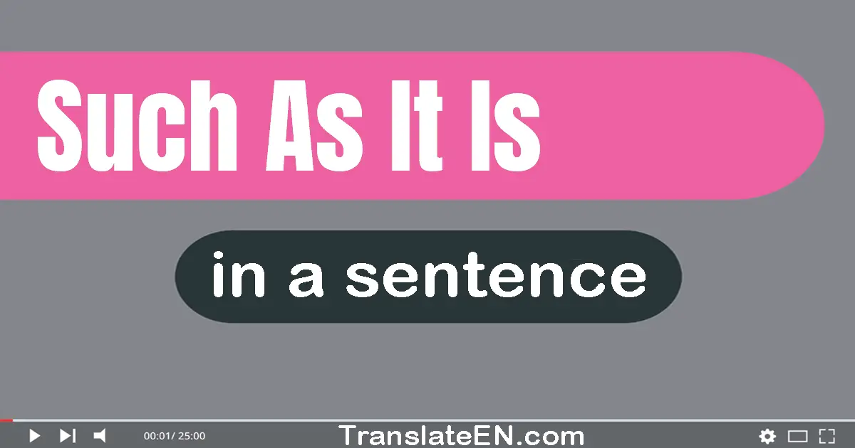 Use "such as it is" in a sentence | "such as it is" sentence examples