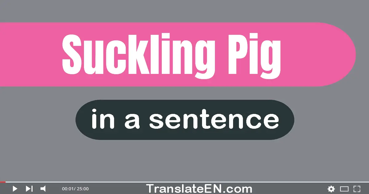 Use "suckling pig" in a sentence | "suckling pig" sentence examples