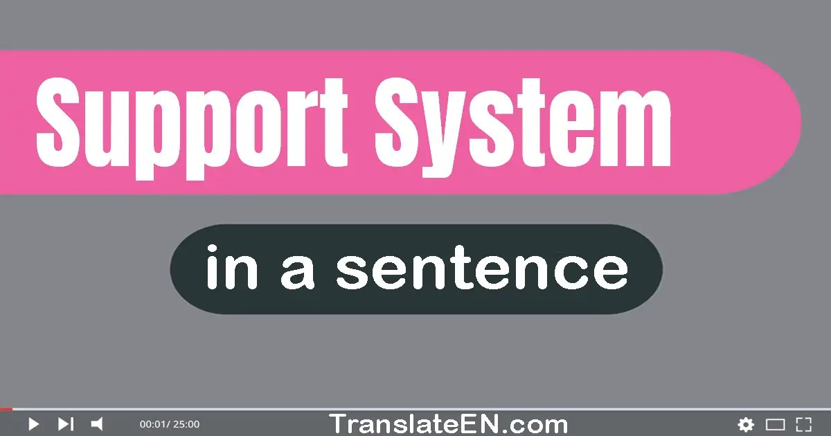 Use "support system" in a sentence | "support system" sentence examples